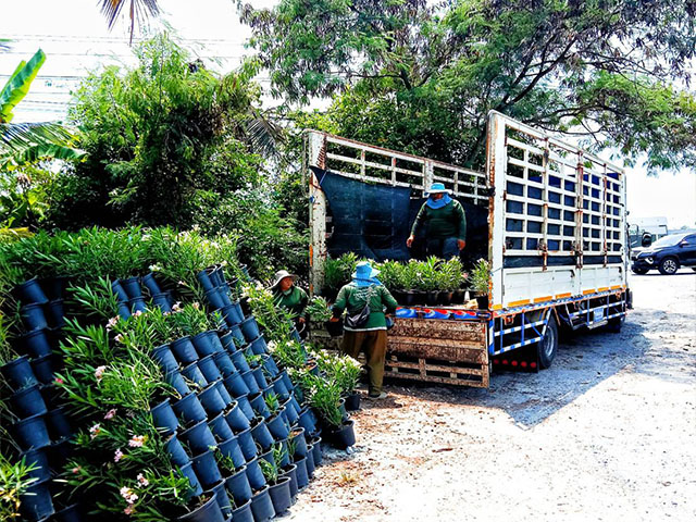  โชคบุญส่งรถรับจ้าง